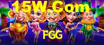 Premium Interface FGG